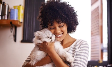 $39 for One Pet-Psychic Communication Session with Animal Communicator Judy Guetig ($75 Value)