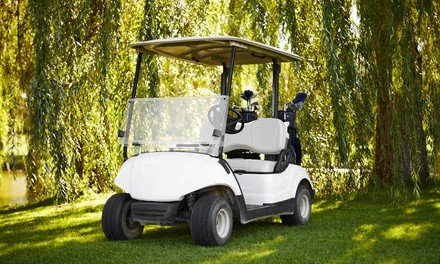 $125 for Full-Day Cart Rental from Coastal Cart Rentals ($180 Value)