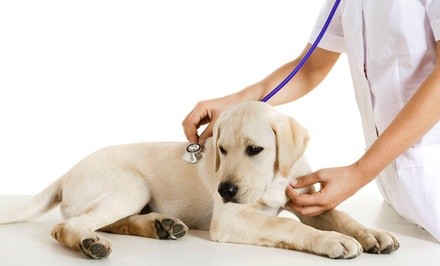 50% Off Healthcare - Pet