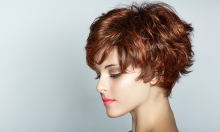 $69 for Haircut and Style with Massage and Conditioning Treatment at Lady Godiva Hair Studio ($130 Value)