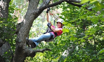 Zipline Tours at Skyward Adventures, Inc. (Up to 60% Off). Two Options Available. 