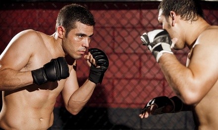 Four Weeks of Martial Arts for Kids or Adults at Brachs MMA (Up to 83% Off)