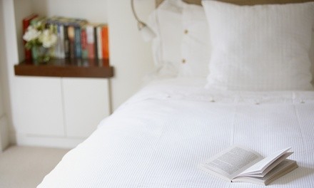 $130 for Mildew and Mold Treatment Package for One Room Up to 250 Sq. Ft. from Simple Science ($200 Value)