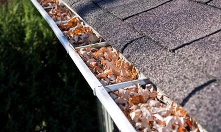 Up to 90% Off on Gutter Cleaning at Red Falcon Pros