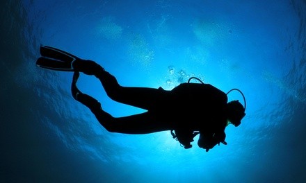 Discover Scuba Class or Discover Local Diving at Capt. Saam's Scuba School (Up to 59% Off)