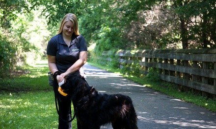 Five Dog Walks from Happy Paws Home Care (54% Off)