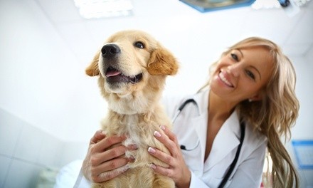 $39 for Heartworm Test with Office Exam at Noble West Animal Hospital ($75 Value)