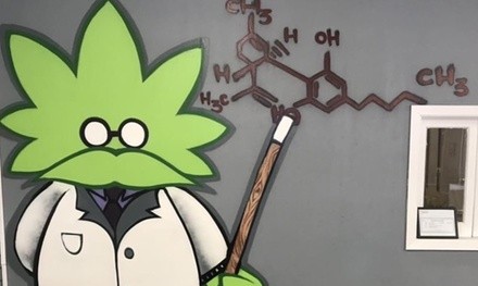 CBD Products at THP Enterprises LLC (Up to 40% Off).