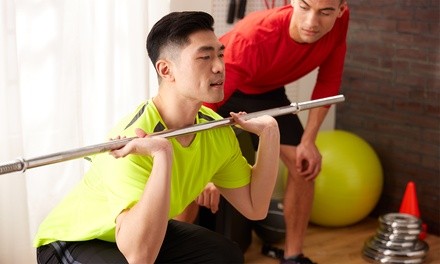 Four or Eight 60-Minute Personal Training Sessions at Back To Motion (Up to 50% Off)