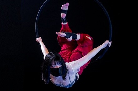 Up to 50% Off on Aerial Fitness at Bat City Circus