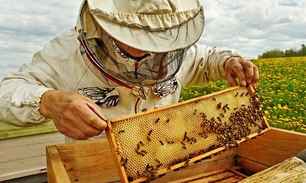 Beginning Beekeeping Class for One Adult or Child at Texas Bee Supply (Up to 25% Off)