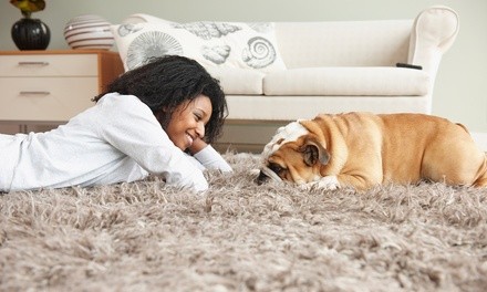 Carpet Cleaning for Three or Five Rooms Up to 200 Square Feet Each from Ninja Klean (Up to 60% Off)