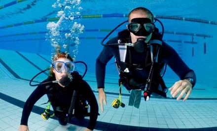  Scuba-Diving Courses at Grove SCUBA (Up to 54% Off). Two Options Available.