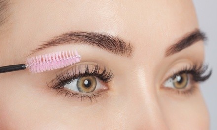 One or Two Lash Lift Sessions and Tint at Wink Aesthetics (Up to 55% Off)