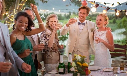 Up to 33% Off on Wedding Officiant Services at Halas Ministries & Counseling