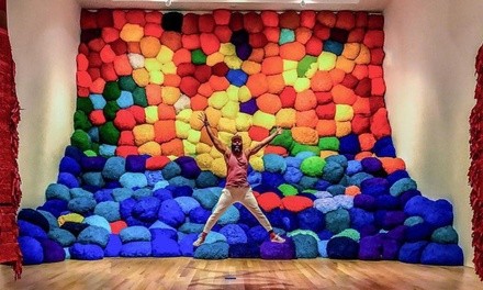 Admission for One or Two or Family Admission Package to The Bass Museum of Art (Up to 51% Off)
