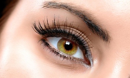 Up to 65% Off on Eyebrow - Threading - Tinting at Brow Studio 31 - Threading & Waxing salon