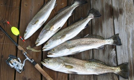 $525 for Half-Day Fishing Trip for Up to Six from Reelin' Leland from May 1 to June 24 ($650 Value)