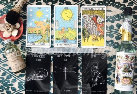 Up to 40% Off on Online Tarot Card Reading at The Sun of Pisces