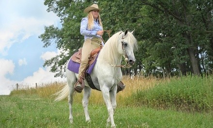 Two 60-Minute Horseback Riding Lessons w/ Optional Horsemanship Lesson at Epona Riding Academy (Up to 50% Off)