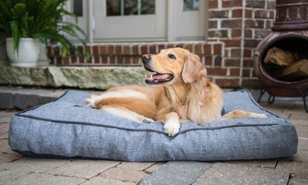 Up to 35% Off on Pet Care - Discount Card at Instinctive Energy