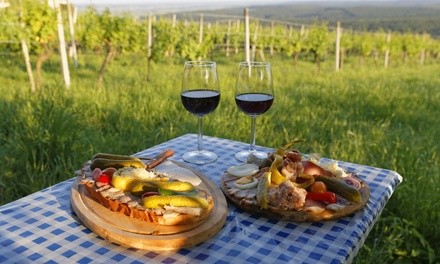 Wine Tasting for Two or Four People at Principe di Tricase Winery (Up to 42% Off)