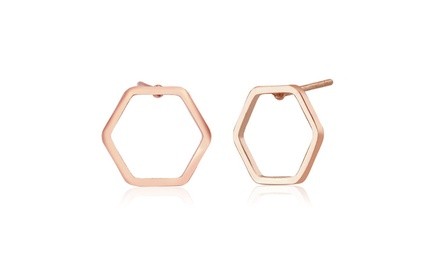 Hectagon stud Earrings