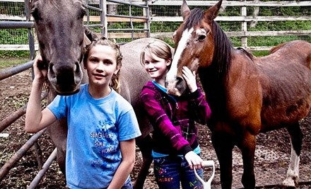 Two or Four Horseback-Riding Lessons at Punk Rock Pony (Up to 55% Off)