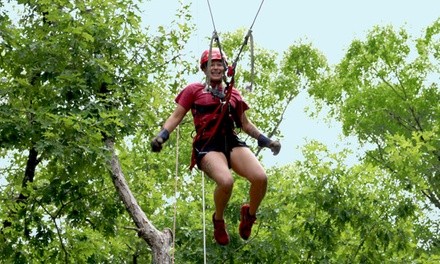 Swing Shot Ride for Two or Four at ZipQuest (Up to 60% Off)