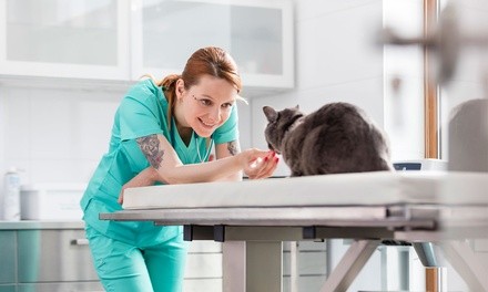 Microchipping or Annual Vaccine Package at Extra Care Animal Hospital (Up to 60% Off)