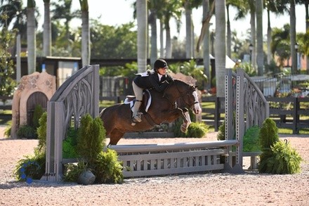 Up to 26% Off on Horse Back Riding - Recreational at Ponies & Palms Show Stables LLC
