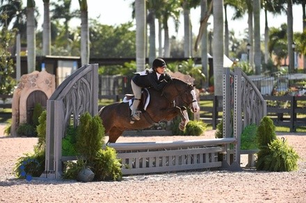 Up to 26% Off on Horse Back Riding - Recreational at Ponies & Palms Show Stables LLC