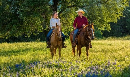 Horseback Trail Ride or Sunset Ride at Brazos Bluff Stables (Up to 40% Off). Five Options Available.