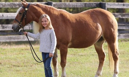 Horseback-Riding Lessons at Evermore Farm (Up to 51% Off). Six Options Available.