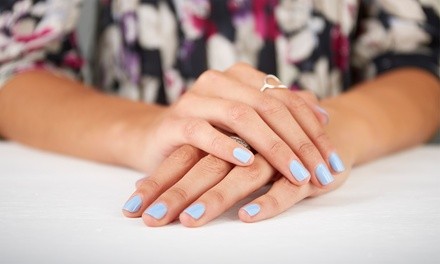 Shellac Manicure or Shellac Mani-Pedi w/Optional Seasonal Foot Scrub at To Dye For Hair Studio (Up to 63% Off)