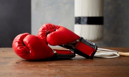 One or Three Months of Kickboxing Classes at New York Black Belt Center (Up to 49% Off). Two Options Available.