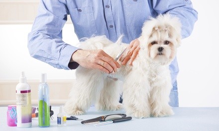 Up to 20% Off on Pet - Grooming / Salon at Diamond Collar Dog Spa