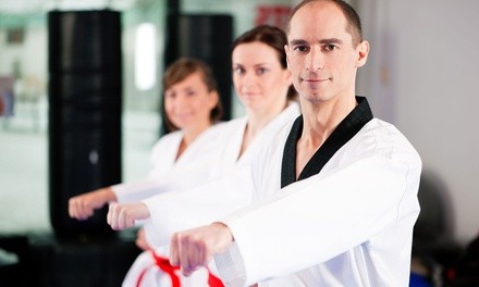 10 or 16 Martial-Arts Classes with Uniform at ATA Martial Arts (93% Off) 