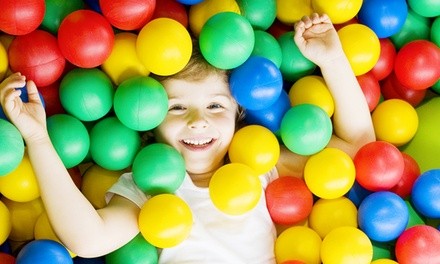 $53.50 for a Lifetime Family Membership at My Gym Children's Fitness Center ($148 Value)