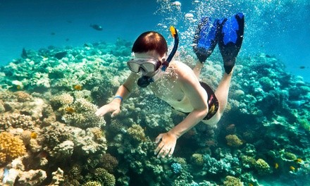 Try Scuba or Try Snorkeling Class for One, Two, or Four at Scuba Ventures (Up to 58% Off)