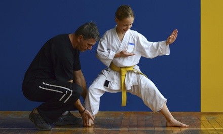 Four Weeks of Unlimited Martial Arts Classes at Integrity Martial Arts (57% Off)