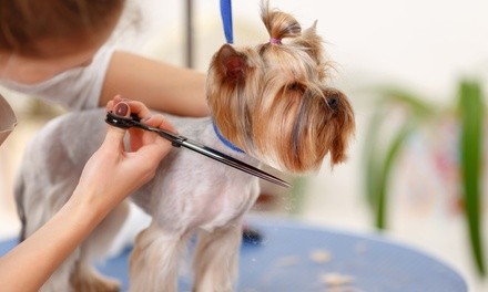 One Self-Service Dog Groom Visit for Small or Large Dog at U Do Dog Wash (Up to 40% Off)