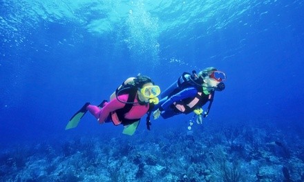 Up to 12% Off on SCUBA Certification at San Francisco Scuba Schools