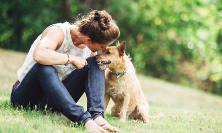 Cage-Free Doggy Daycare with One Optional Bath at Charm City Dogs (Up to 55% Off)