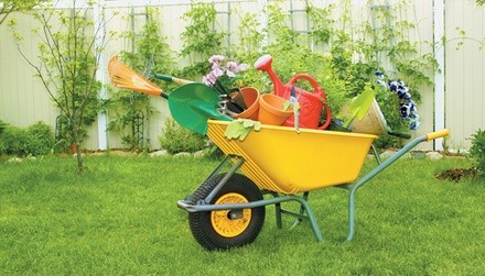 $10 for $20 Worth of Flowers and Landscape Supplies