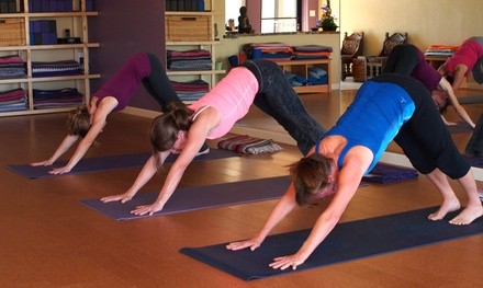 5 or 10 Yoga Classes at Yoga Village (Up to 66% Off)