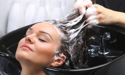 Women's Haircut, Deep-Conditioning Treatment or Shampoo, and Style at Hair Designers Studios (Up to 66% Off)