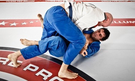 Up to 74% Off on Martial Arts / Karate / MMA - Activities at Watson Martial Arts