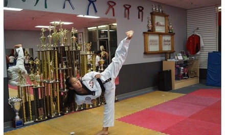 10 Martial Arts Classes at Total Impact martial arts (86% Off)