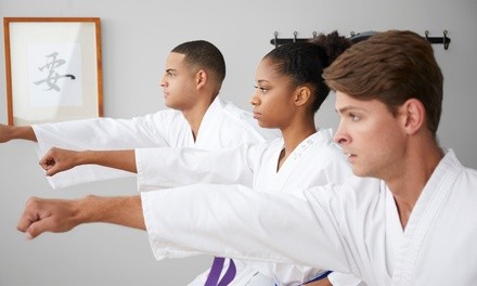 Up to 87% Off on Martial Arts / Karate / MMA - Activities at BGR8 Martial Arts